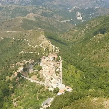 E Scuace