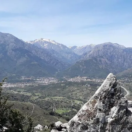 E Scuace * Tralonca