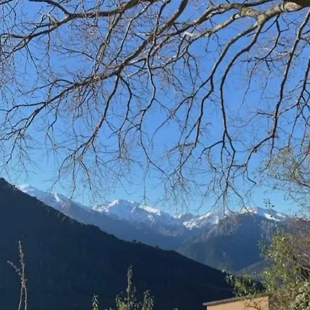 E Scuace Tralonca