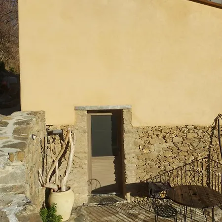 E Scuace